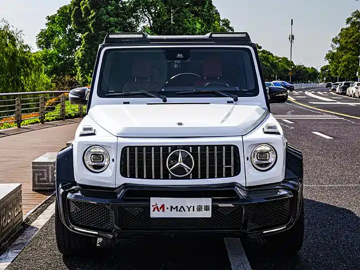 Mercedes-Benz G-Class 2019 — фото 8