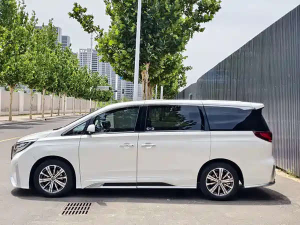 GAC Trumpchi M8 2020