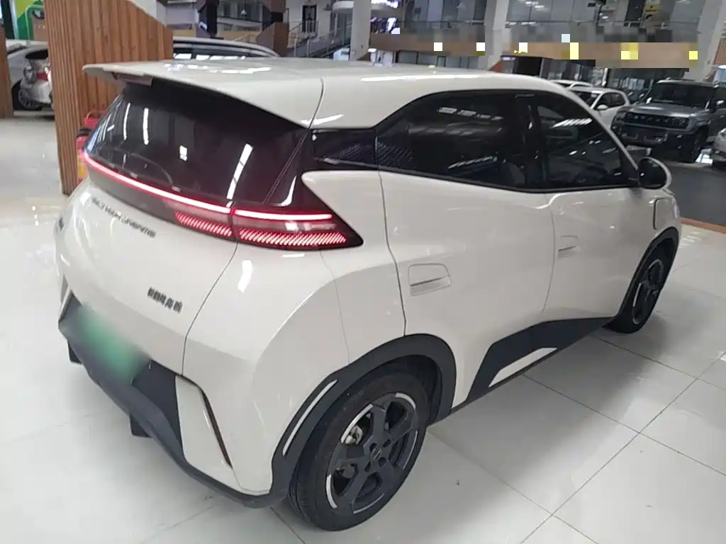 BYD Seagull 2024