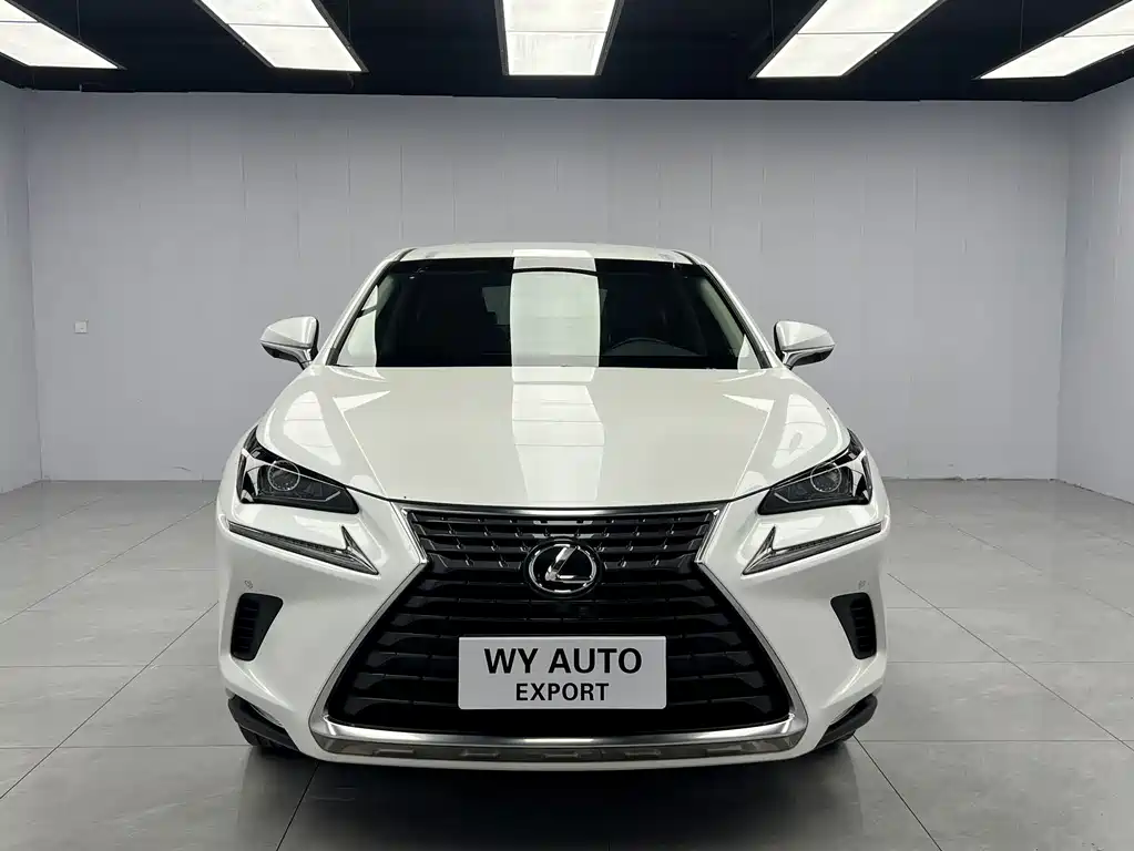 Lexus NX 2020 — фото 2