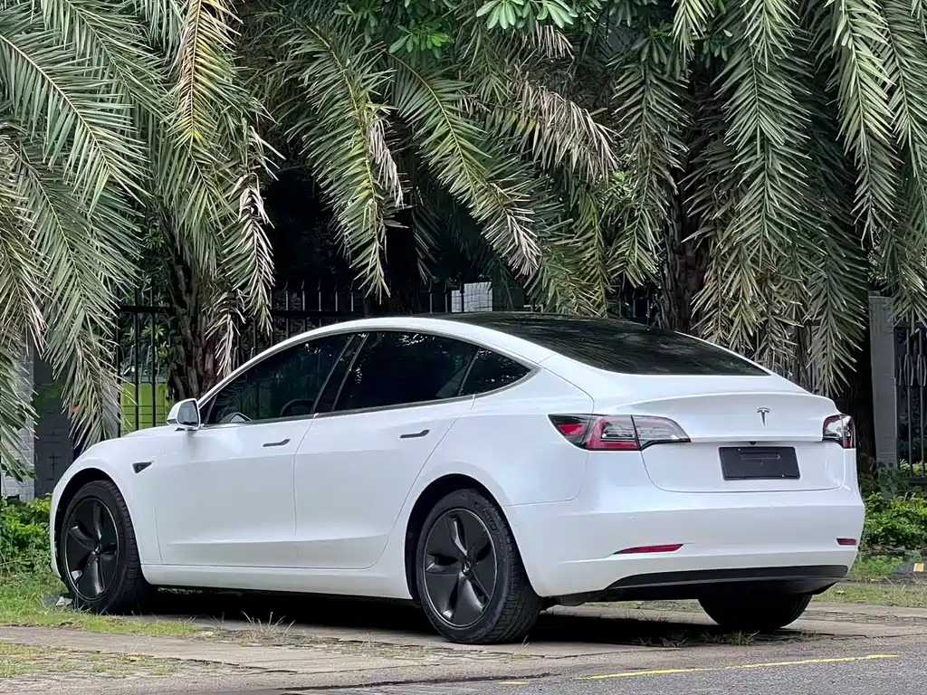 Tesla Model 3 2019