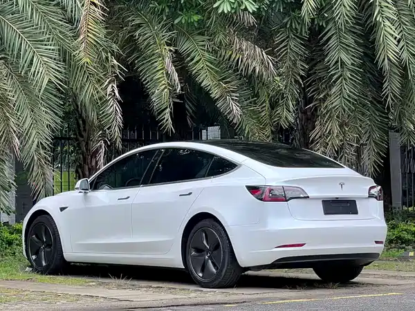 Tesla Model 3 2019