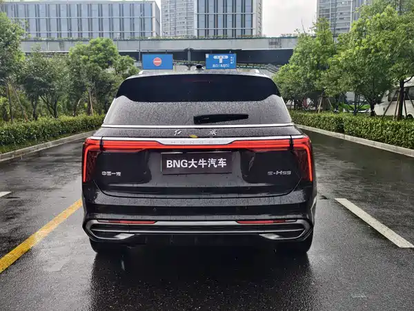 Hongqi E-HS9 2021