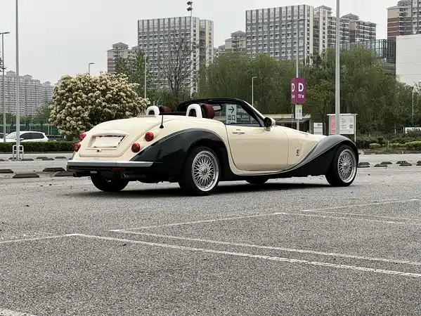 Mitsuoka Queen 2010