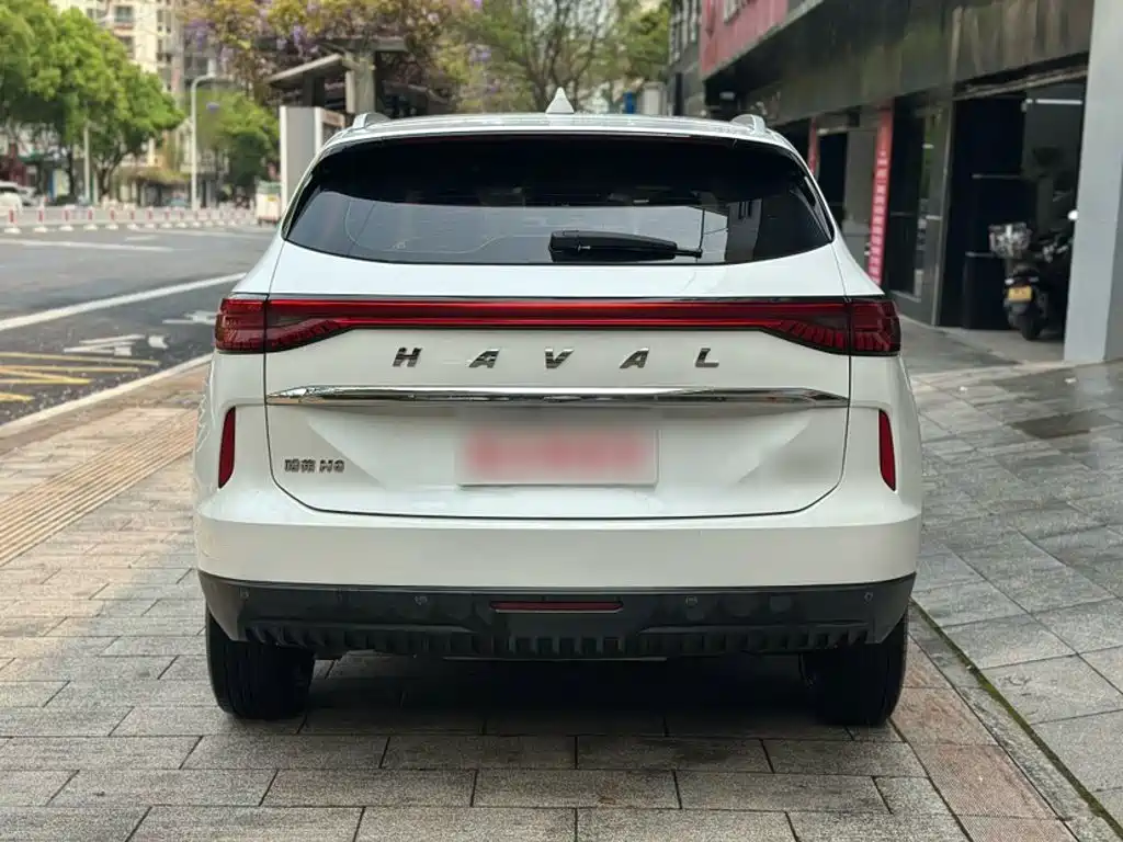 Haval H6 2020 — фото 12
