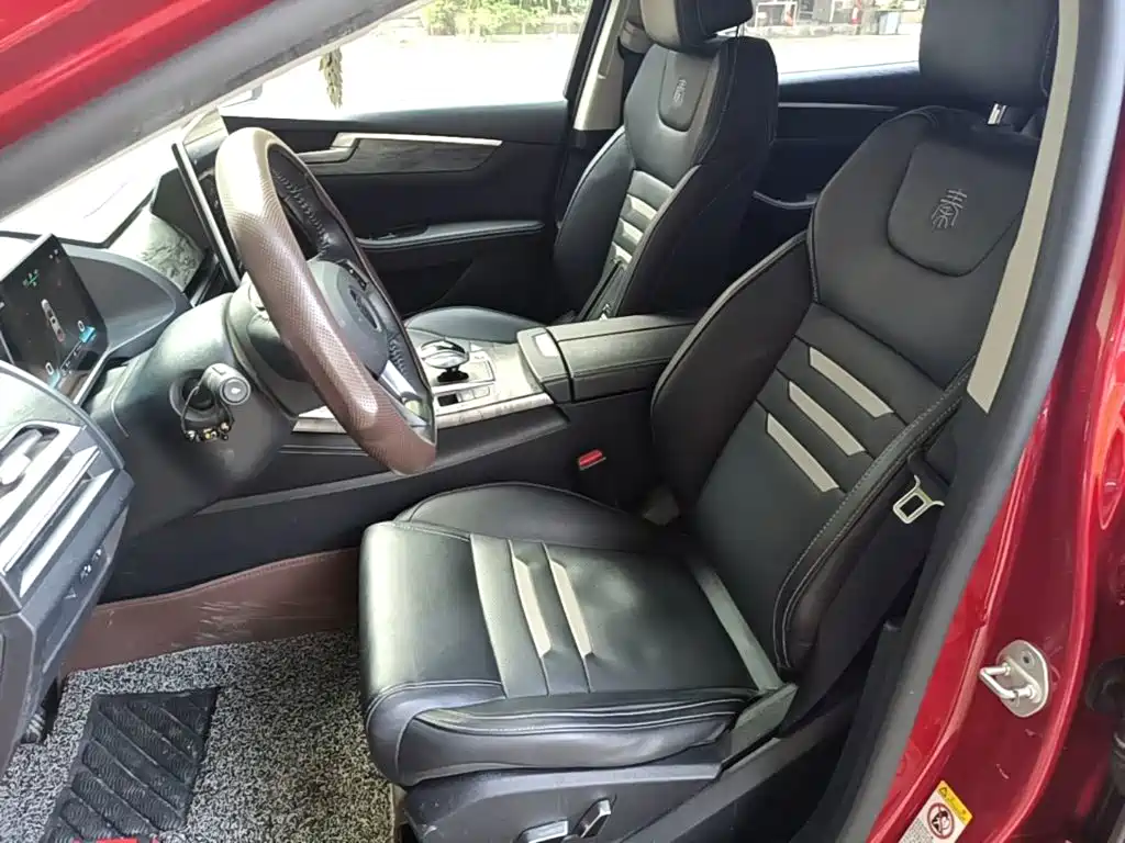 BYD Qin Pro NEV 2019 — фото 15