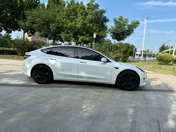 Tesla Model 3 2020