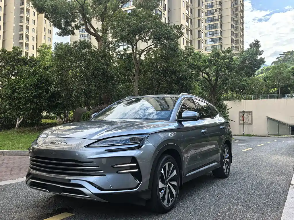 BYD Song PLUS New Energy 2024 — фото 1
