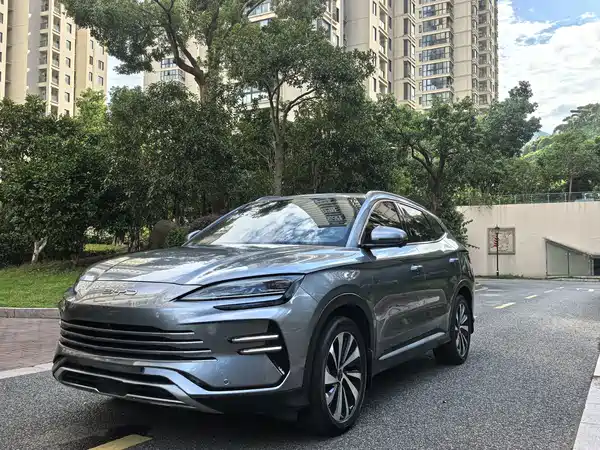 BYD Song PLUS New Energy 2024