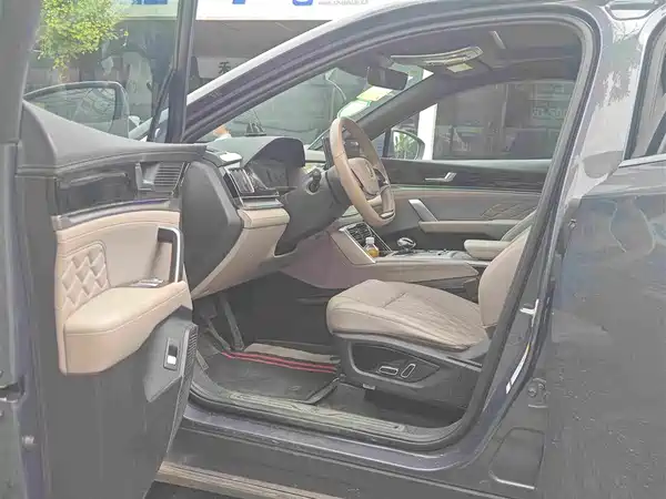 BYD Tang New Energy 2024