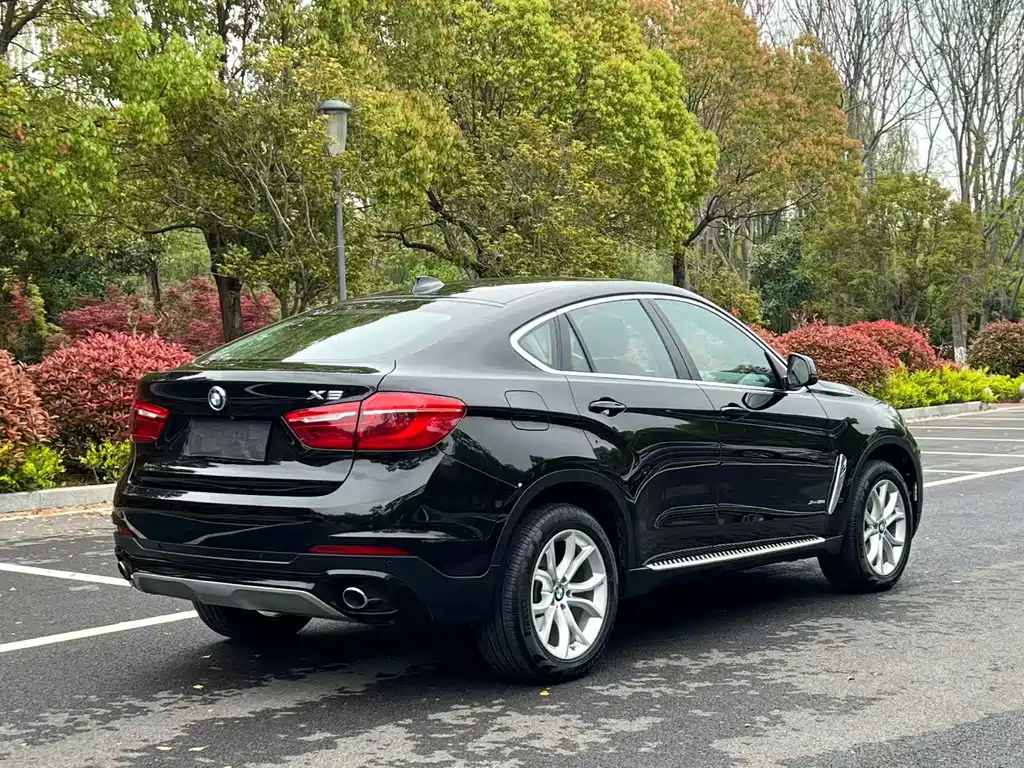BMW X6 2017 — фото 16