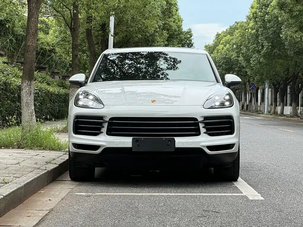 Porsche Cayenne 2020 — фото 2