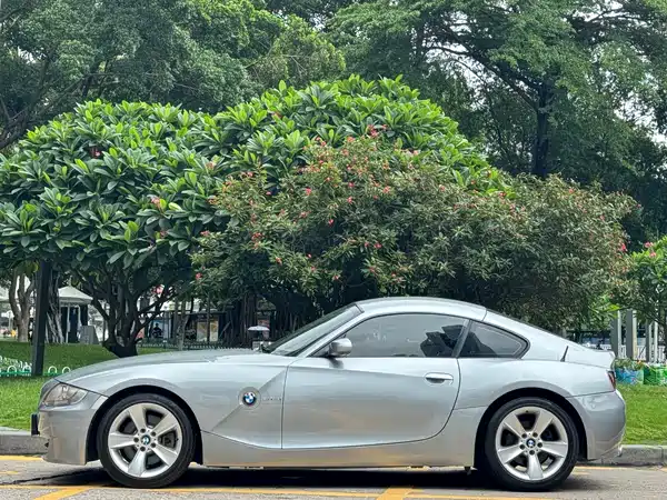 BMW Z4 2009