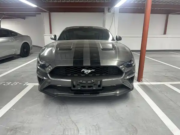 Ford Mustang 2019