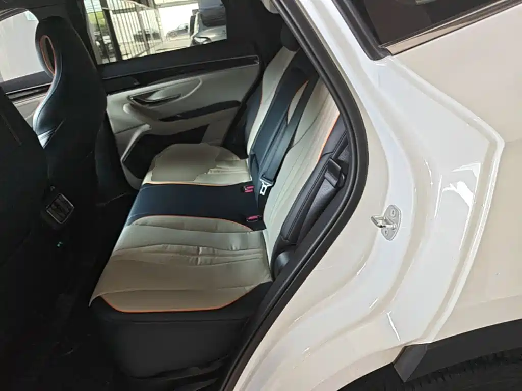 BYD Song PLUS New Energy 2022 — фото 22