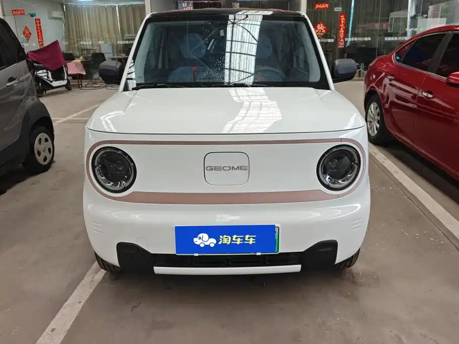 Geely Galaxy Panda 2024