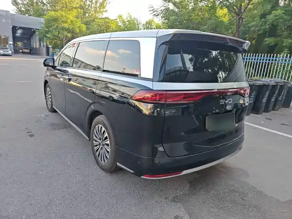 BYD Summer 2025