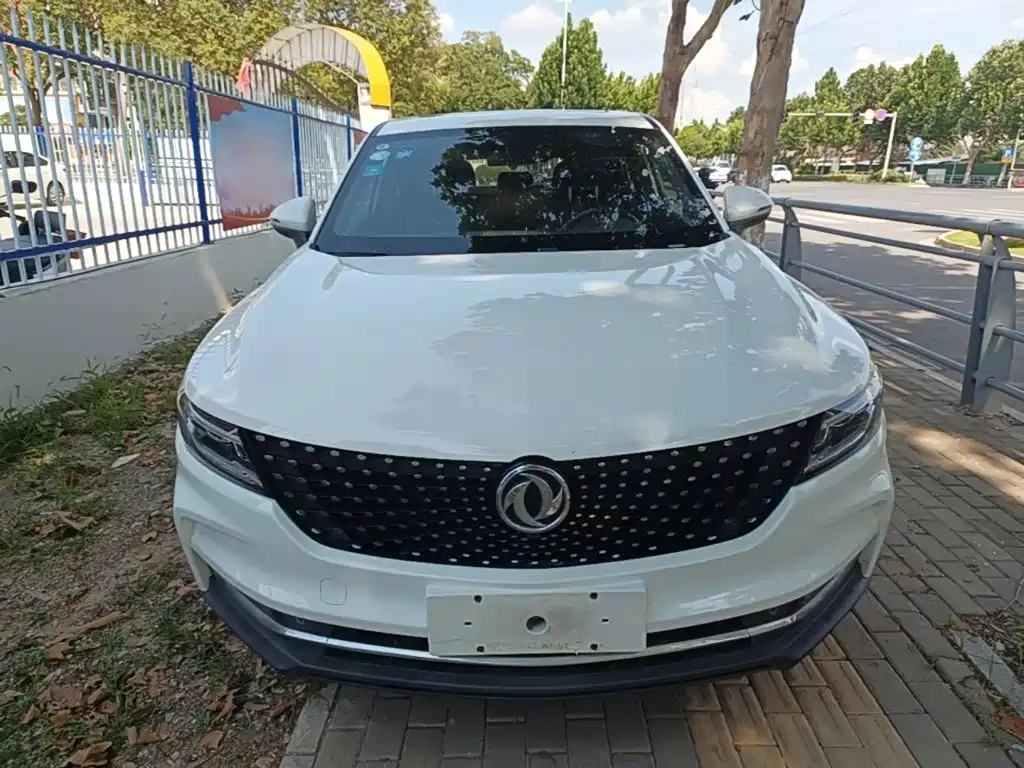 Fengguang ix5 2019
