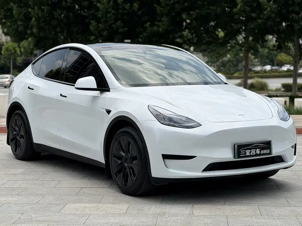 Tesla Model Y 2024 — фото 3