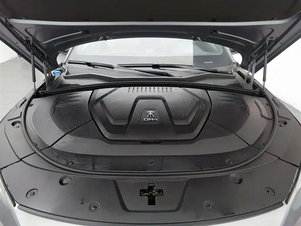 BYD PLUS New Energy 2023 — фото 6