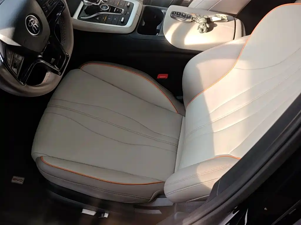 BYD Pro New Energy 2024 — фото 15