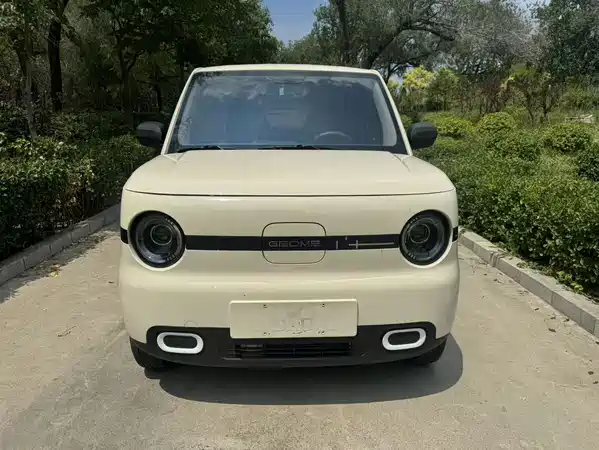 Geely Galaxy Panda 2025