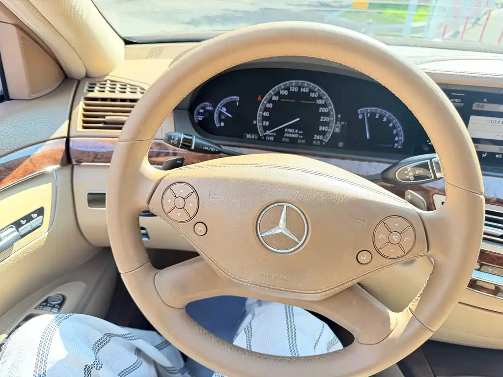 Mercedes-Benz S-Class 2010 — фото 9