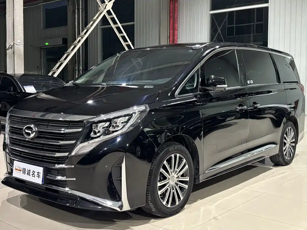 GAC Trumpchi M8 2021 — фото 1