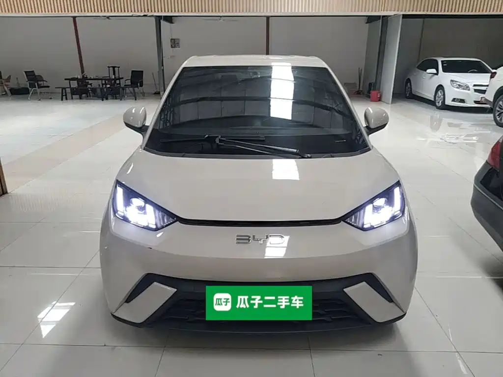 BYD Seagull 2024