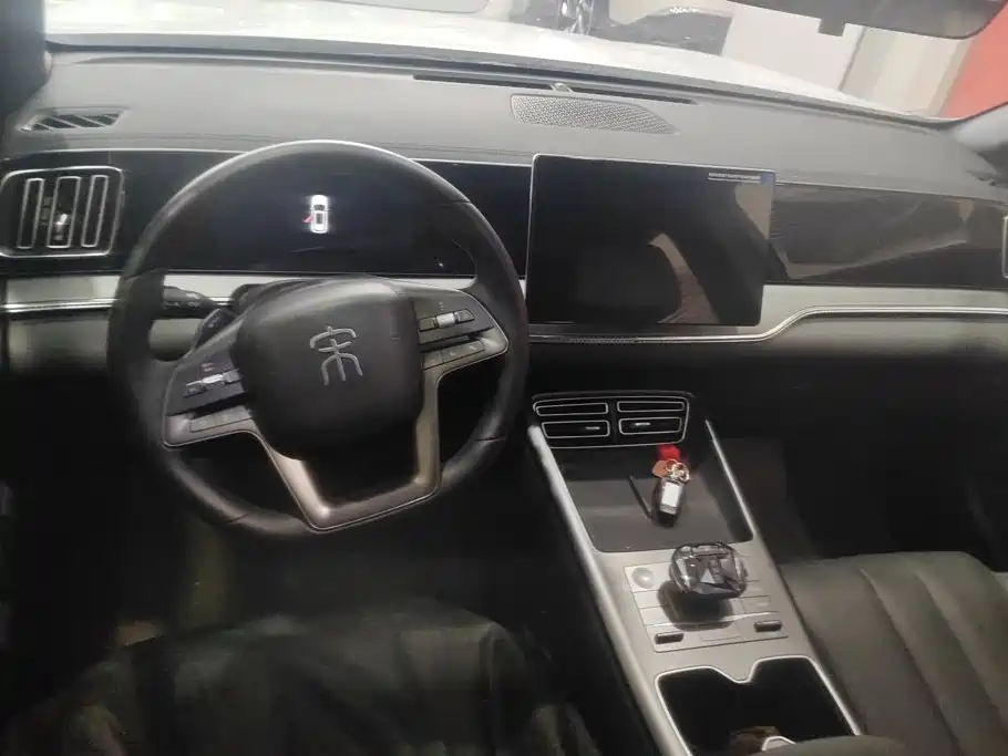 BYD Song Pro New Energy 2025 — фото 12