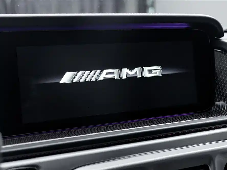 Mercedes-Benz G-Class AMG 2019 — фото 16
