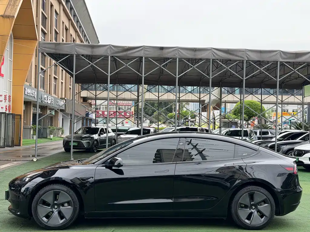 Tesla Model 3 2021 — фото 3
