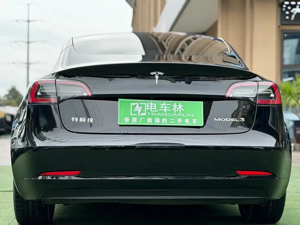 Tesla Model 3 2021 — фото 19
