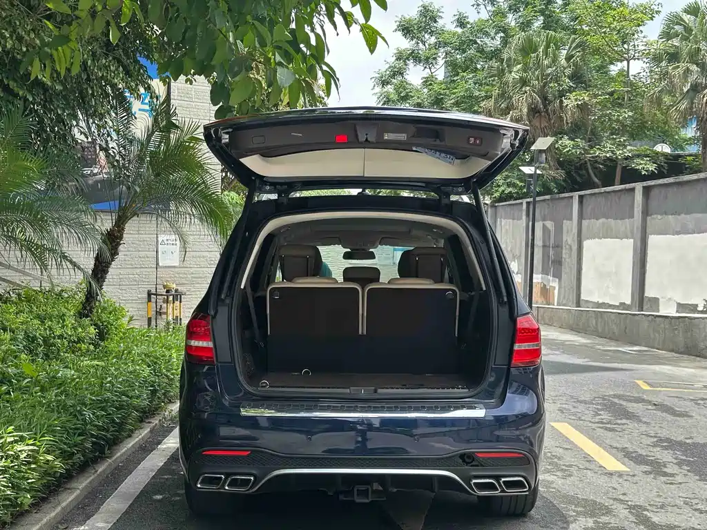 Mercedes-Benz GLS 2018 — фото 28