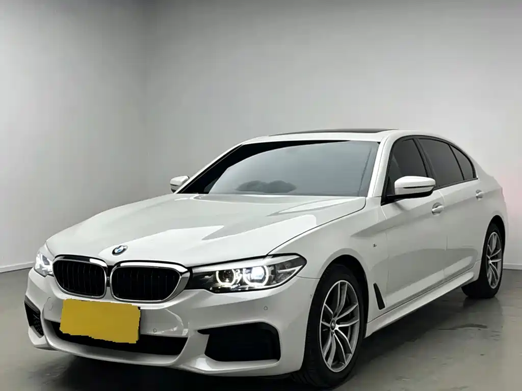BMW 5 Series 2019