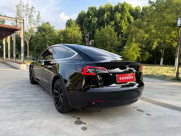 Tesla Model 3 2020