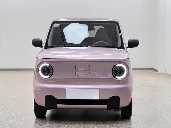 Geely Galaxy Panda 2024