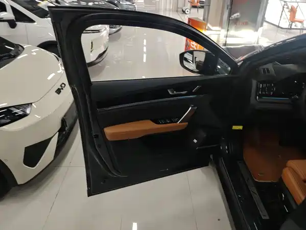 BYD Tang New Energy 2023