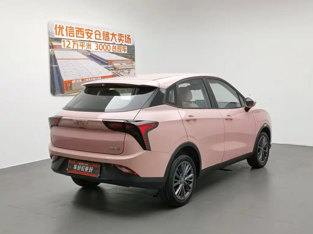 Neta V 2022