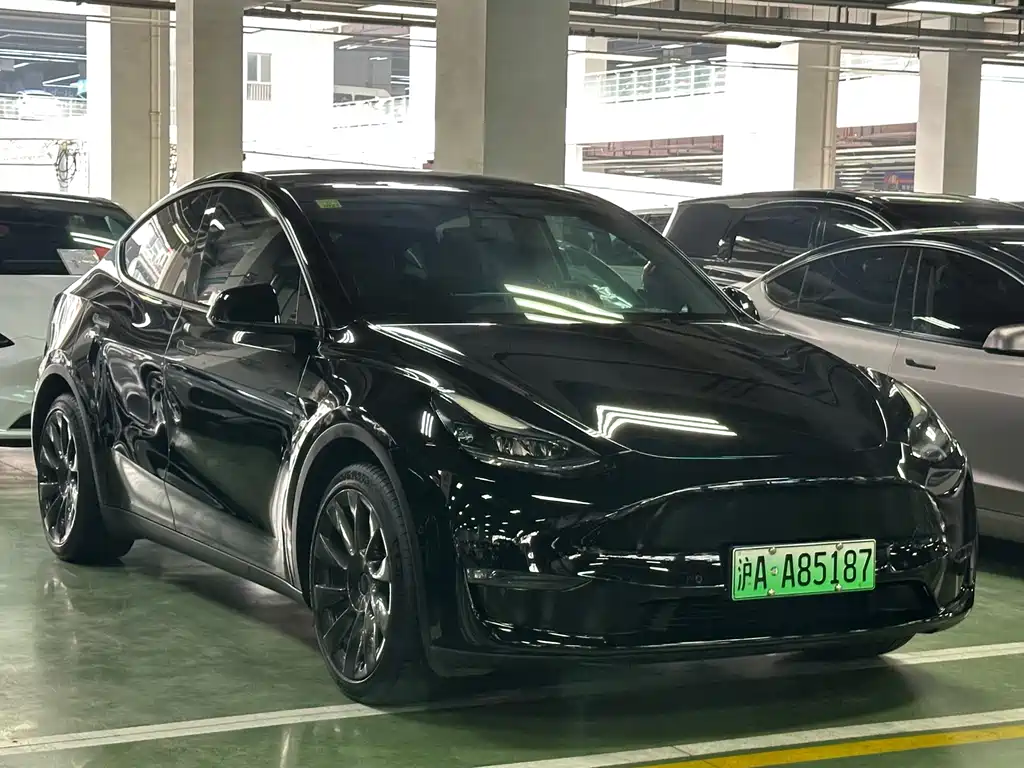 Tesla Model Y 2021 — фото 16