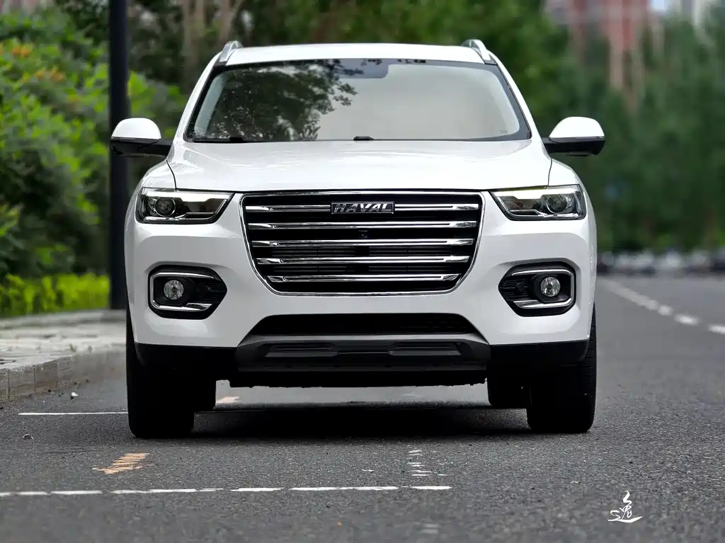 Haval H6 2020 — фото 2