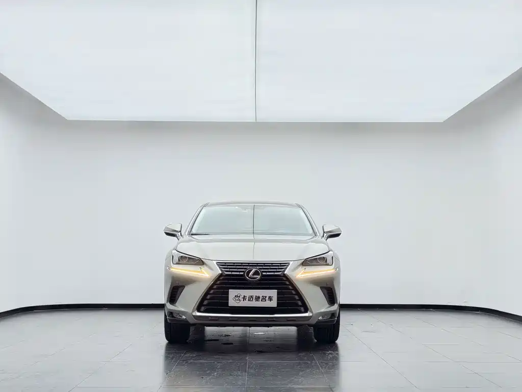 Lexus NX 2019 — фото 3