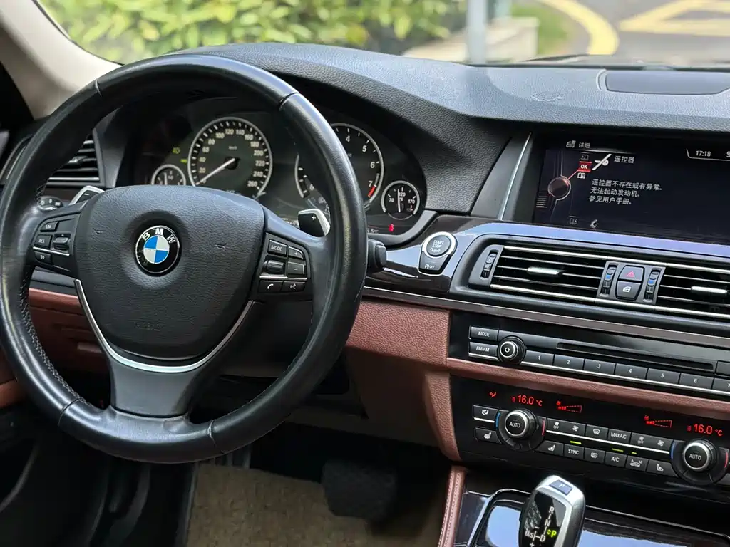 BMW 5 Series 2015 — фото 13