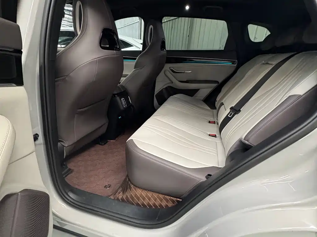 BYD PLUS New Energy 2025 — фото 14