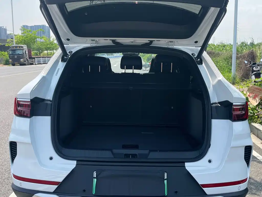 BYD Song PLUS New Energy 2022 — фото 25