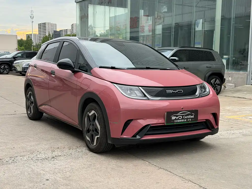 BYD Dolphin 2022
