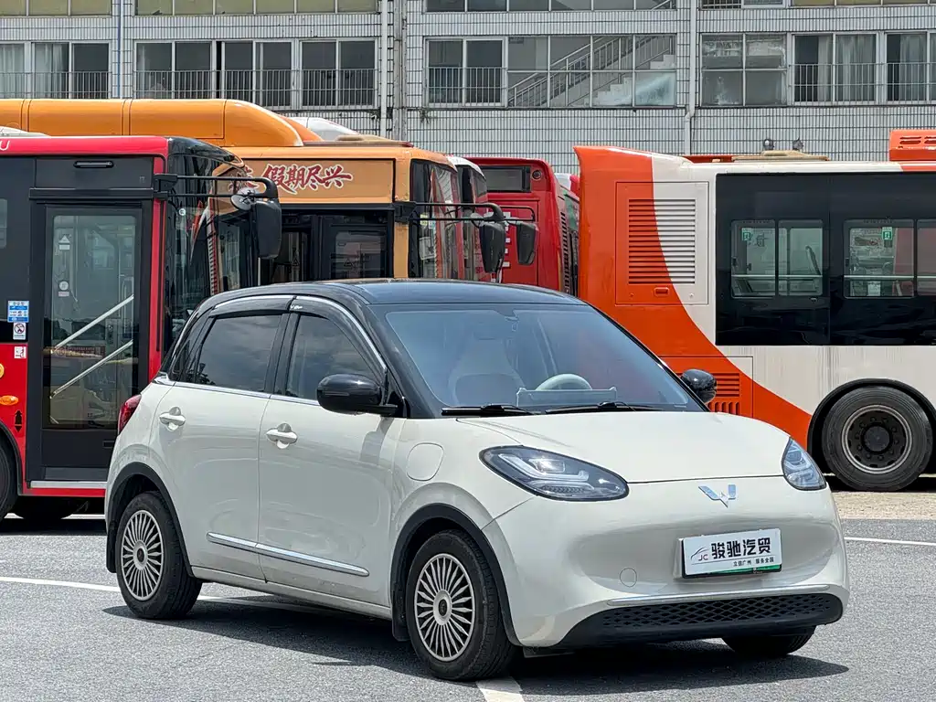 Wuling Bingo 2024