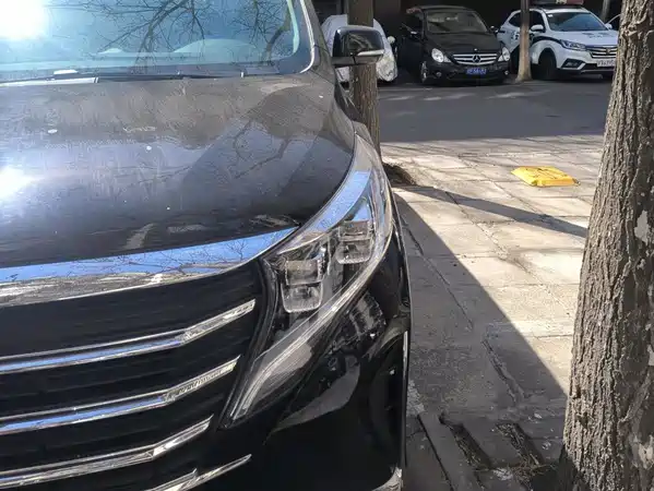 GAC Trumpchi M8 2022
