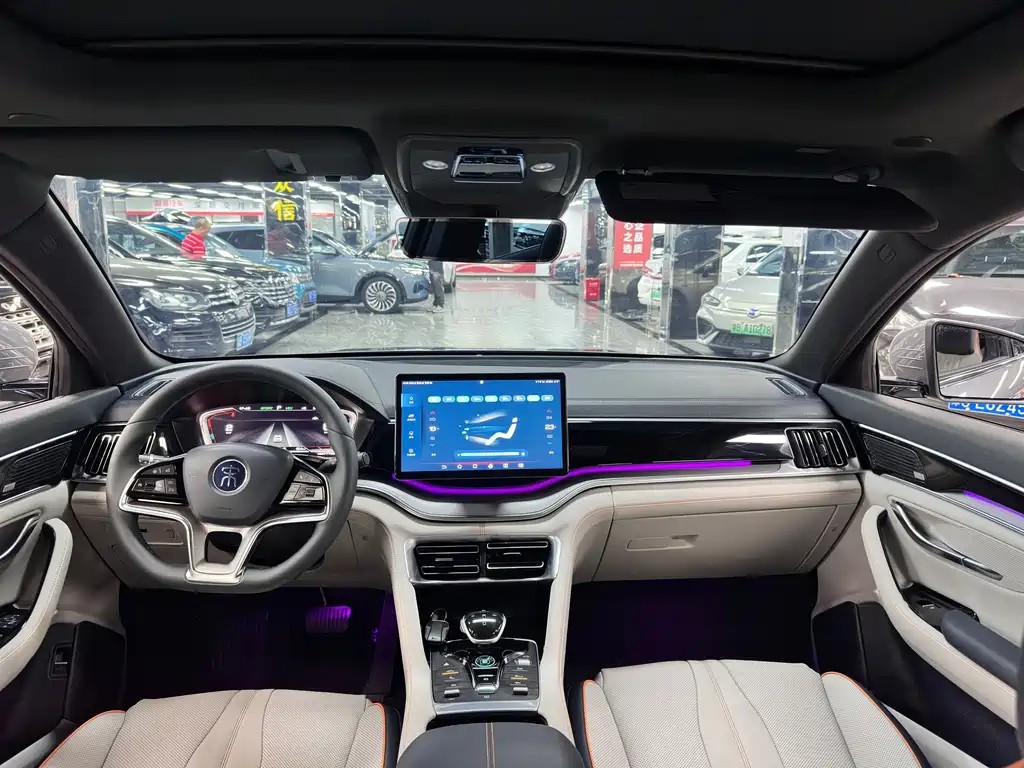 BYD Song PLUS New Energy 2021 — фото 12