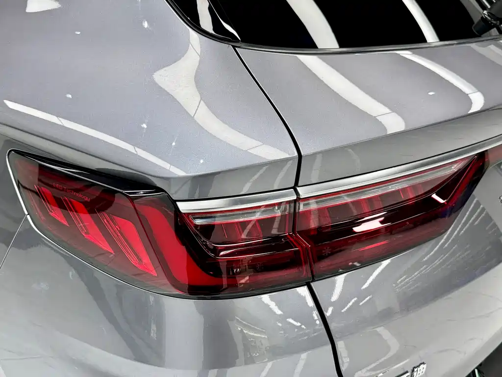 BYD PLUS New Energy 2023 — фото 21